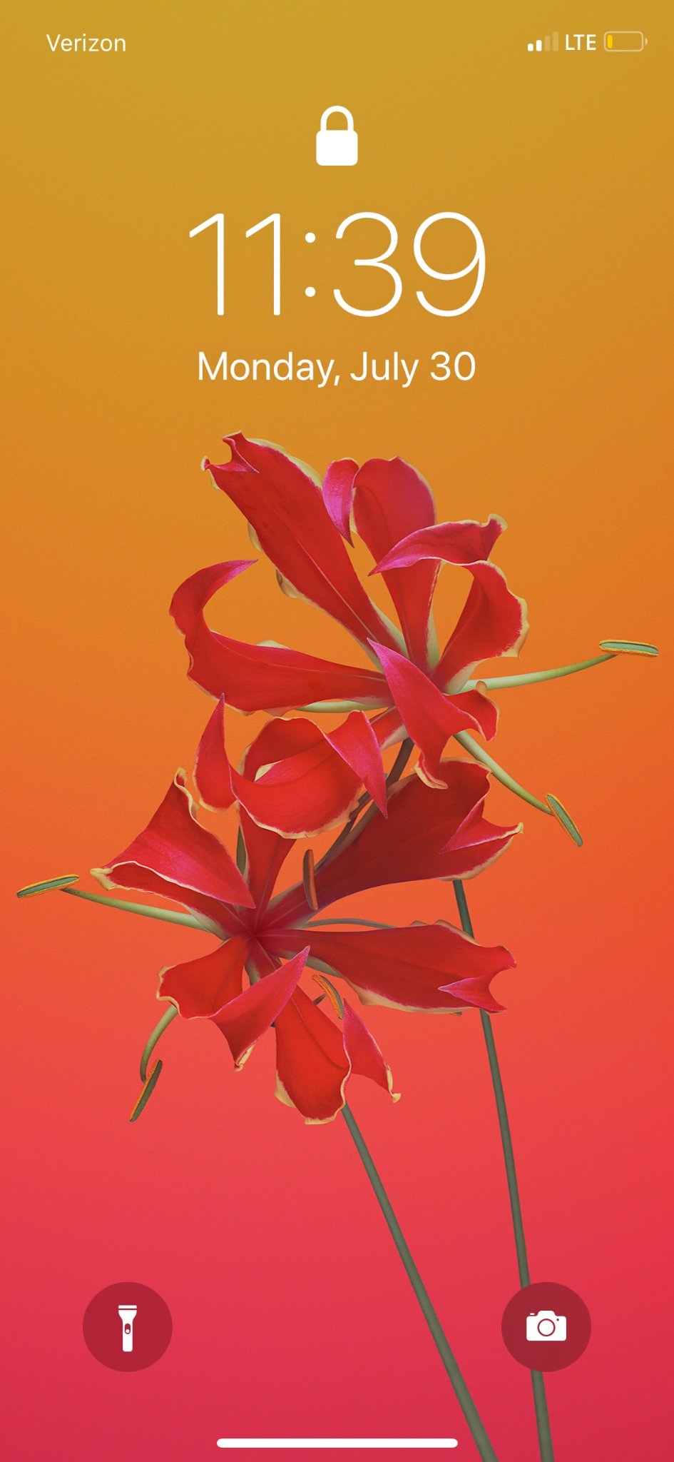 ijp198's profile picture. 