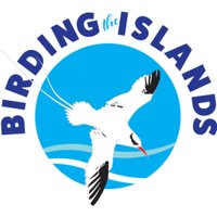 Birding The Islands(@BirdingIslands) 's Twitter Profileg