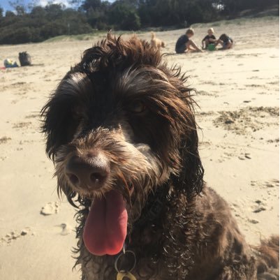 ziggiscott's profile picture. 