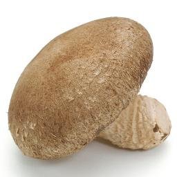 椎井たけ Shiitake Gb Twitter