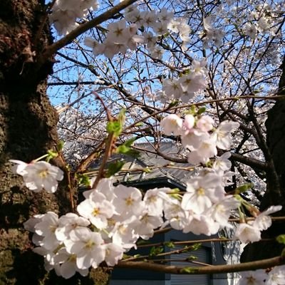 02UIsHsO4wsbpVa's profile picture. 