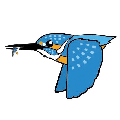 eisvogel7 Profile Picture