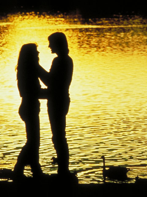 mackneko's profile picture. 中古自転車あります。