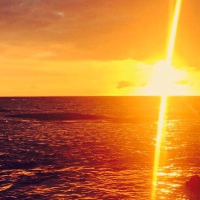 hanm24163258's profile picture. 