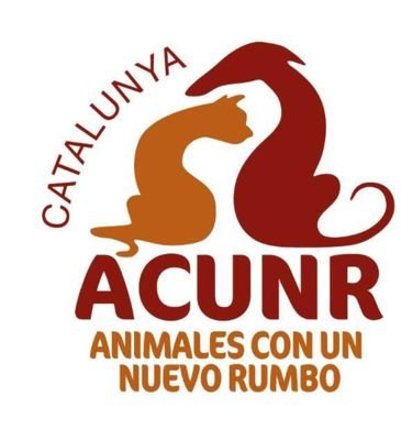 Somos una asociación sin ánimo de lucro,  dedicada ayudar a galgos y podencos. info@acunrcatalunya.com