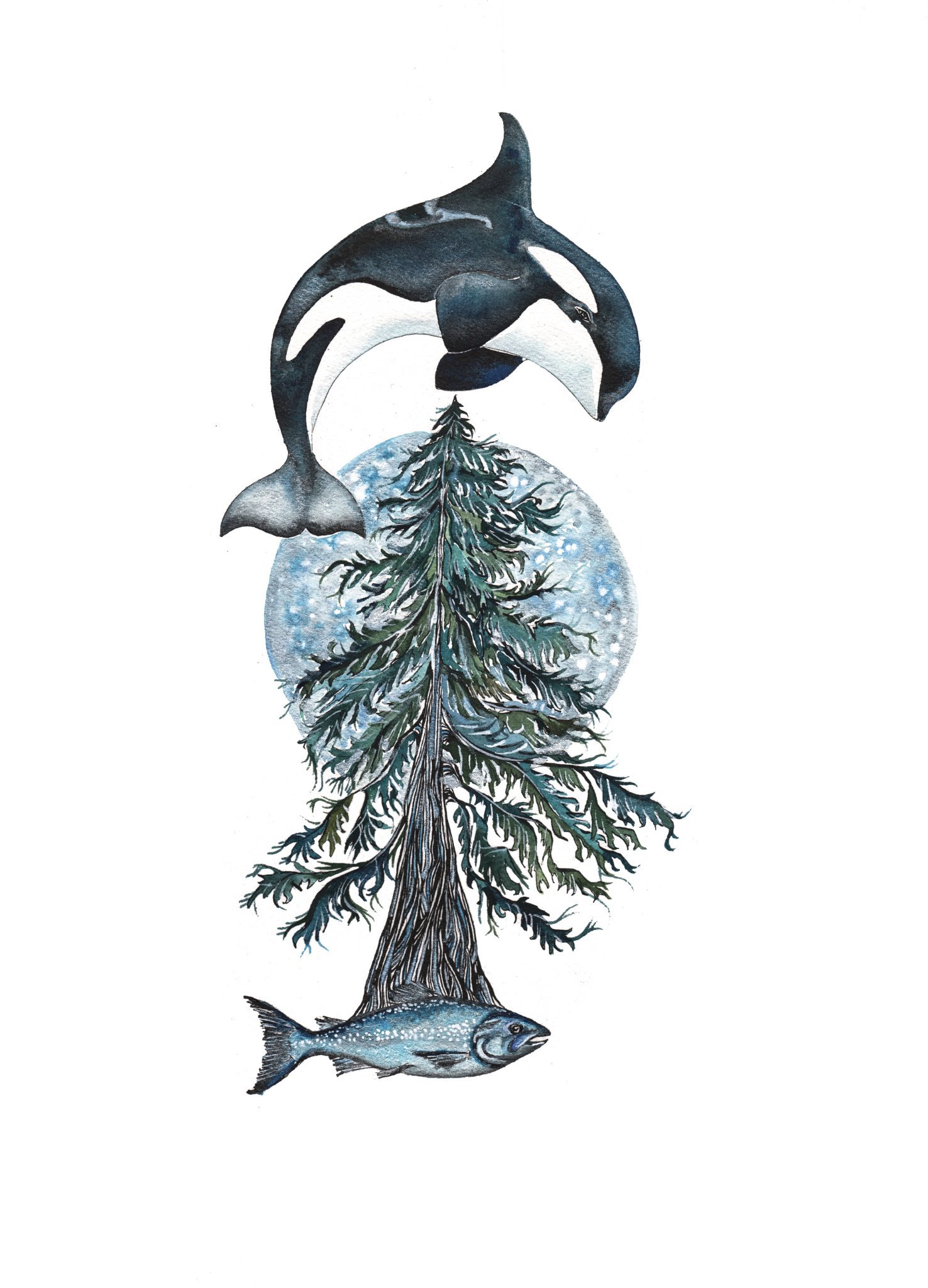 Raising awareness and offering solutions to save the Southern Resident Orcas and the Chinook Salmon they depend upon.