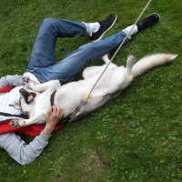 Rainer Wahnsinn (@blnbla) 's Twitter Profile