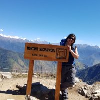 Parul Shah (@parulbhavikshah) 's Twitter Profile Photo