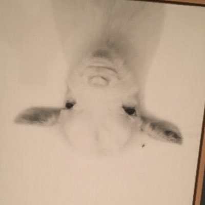 SleepytimeP's profile picture. the club is open