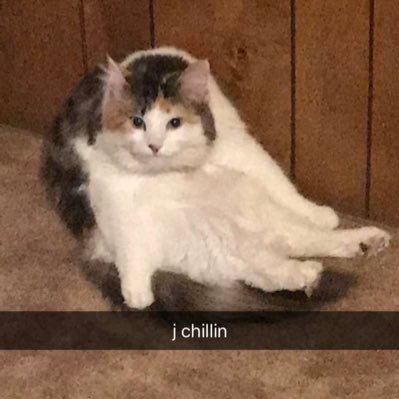 Dylanwashisname's profile picture. Trans F™️, bisexual dude, slytherin, living my best life sorta, I hate my face so my profile pic is my cat 💁♂️🌈😻 blahblahblah