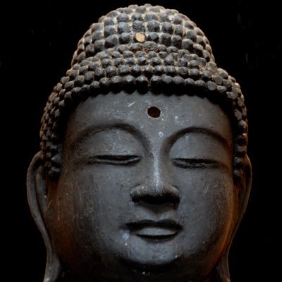 ____shakadesu's profile picture. 裏