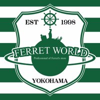 フェレットワールドみなとみらい店 (@fwminato) 's Twitter Profile Photo フェレットワールドみなとみらい店 (@fwminato) 's Twitter Profile Photo