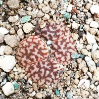 JUN☆ (@zz0o7ldvdb45svr) 's Twitter Profile Photo