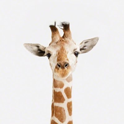 iamababygiraffe's profile picture. woo hoo!