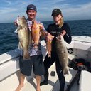 khollzz - @katie_holiday - Twitter