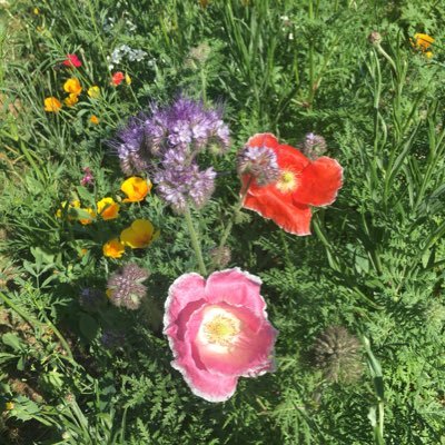 AmyWatson87's profile picture. I'd rather be dancing than tweeting.