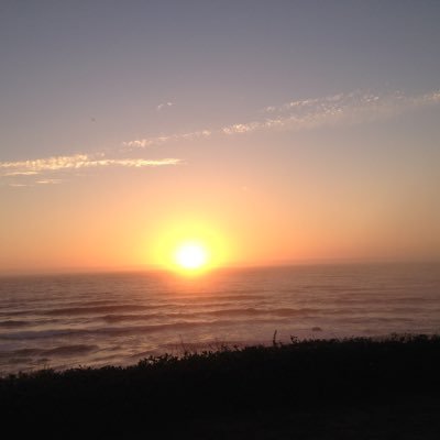 Frida_Goman's profile picture. Constitutional Conservative. America is in trouble. I refuse to sit and watch it go down the drain. #DoSomething #KAG #MAGA #LiberalismIsAMentalDisease