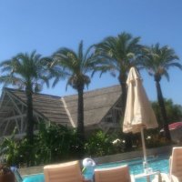 Marc Gallagher (@marcgallagher82) 's Twitter Profile