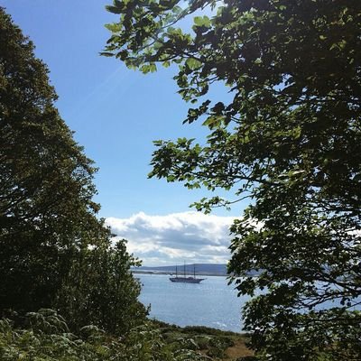 brucephilips52's profile picture. 