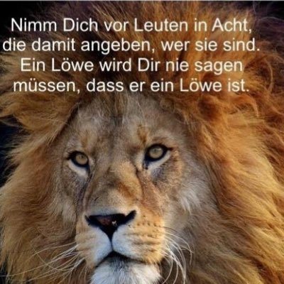 IgkRVC65lilwk19's profile picture. Adolf