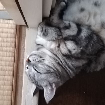 laser0910's profile picture. 