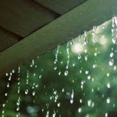 promptedtwouas's profile picture. 