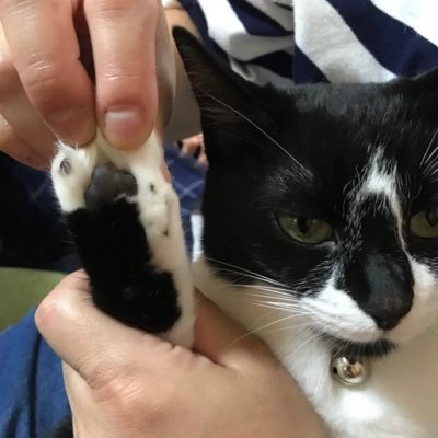 まりあさんのプロフィール画像