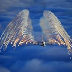 wasconstituted1's profile picture. 