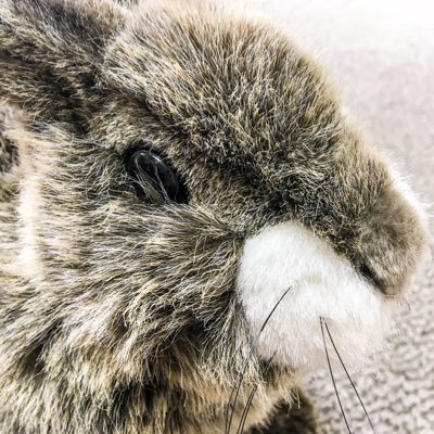 n9m66JoVnaqMGRb's profile picture. 25歳♀ダイエット垢💕 Max51.5kg→現在44kg、体脂肪率27%→現在11%