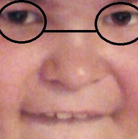 benwitham24's profile picture. Hi welcome to my shit show