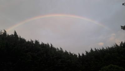 ardghaill's profile picture. 