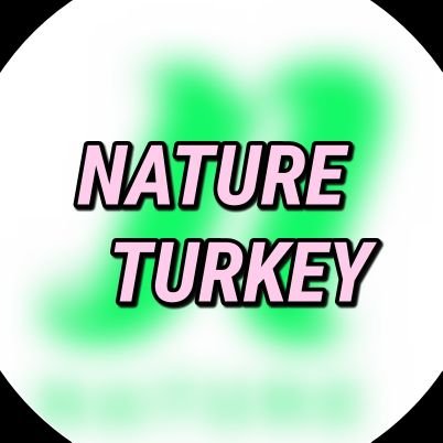 🍒| NCH Entertainment altında çıkış yapmış kız grubu Nature adına açılmış ilk Türk fan sayfası.🇹🇷 
                                   Instagram🌜 @/natureo.tr