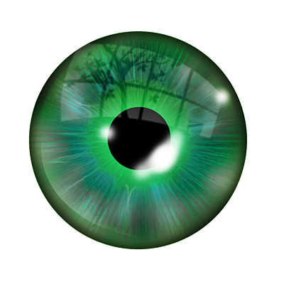 sangotodidak's profile picture. 