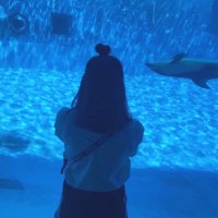 せりぼ (@seribooooo_x) 's Twitter Profile