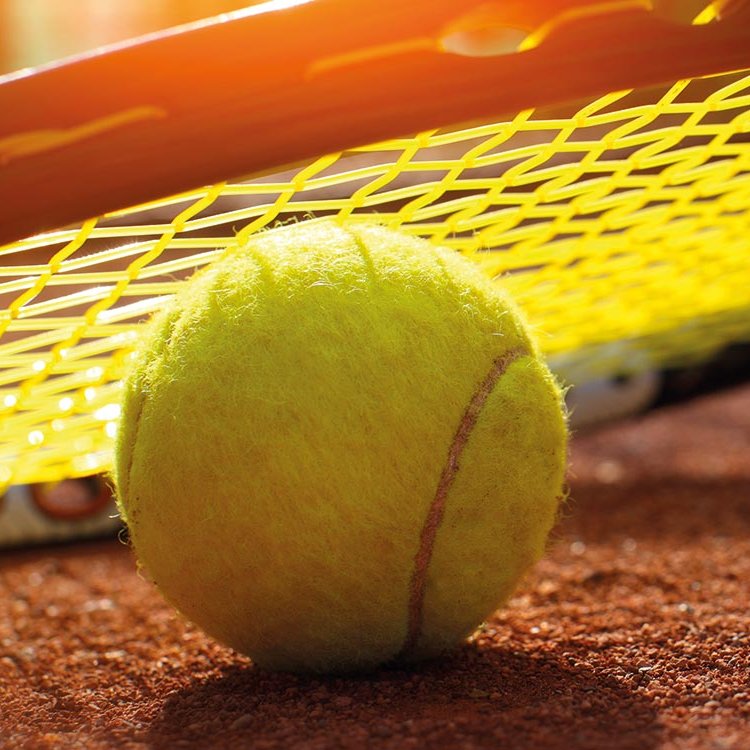 A 360° sul mondo del tennis