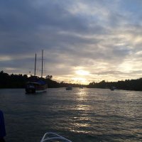 Kabubii (@kabubii1) 's Twitter Profile
