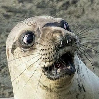 Hi_Im_Slavo's profile picture. 