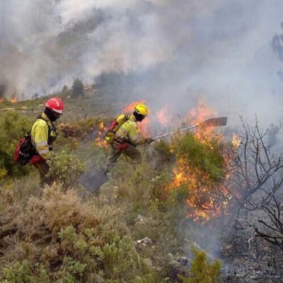 Bomberos Forestales Helitransportados GVA/ IIFF / Wildlandfires in the East of Spain / #iiff #wildlandfirefighters #rxfire Twitter NO OFICIAL