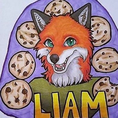 avatar for Liam The Red