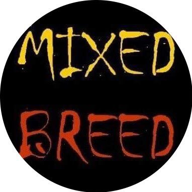 MIXED BREED Rock n Roll n Country the 60s to now! Contact: MIXEDBREED301535@gmail.com