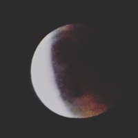 Paco Rius💯🦇 (@pacorius1961) 's Twitter Profile