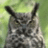 hopepoeta's profile image