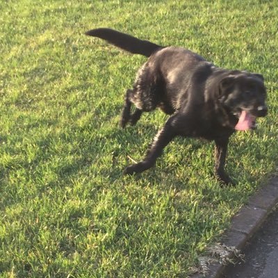 Vicengonzalez5's profile picture. ????