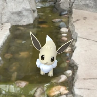 KrookodileHntr's profile picture. Pokemon go researcher and photographer | Animal Crossing Twit