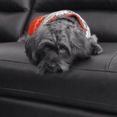 ThomsonWeejt's profile picture. 