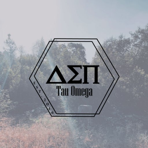 DSPULV's profile picture. ULV’s Co-Ed Professional Business Fraternity