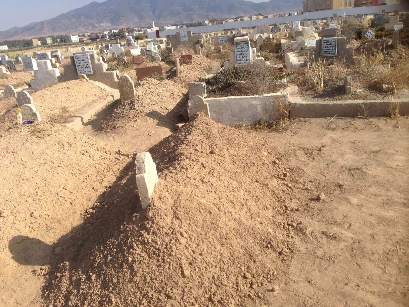 ano2023's profile picture. حتى في نور الصبح هنااااك ظل أسود  وفِي عتمة الليل هنااااك قمر منير ...