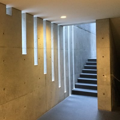 mai____'s profile picture. 建築と胃袋のおさまりを考えてます。