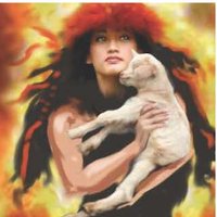 Hawaii Animal Kuleana Alliance (HAKA) (@808haka) 's Twitter Profile