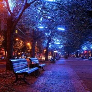 JNUaOCTWT7brG7e's profile picture. ‏في هدوء الليل اجد ما هوا ضاع في كل البشر.♥♠